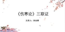 伤寒论三联证-外感寒邪热病